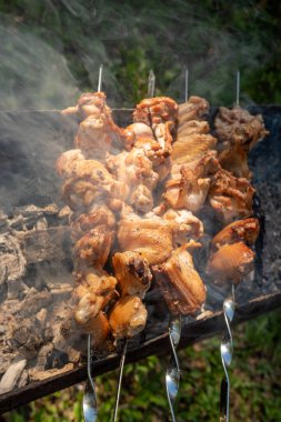 Ateşin üstünde kızarmış tavuk şişleri.