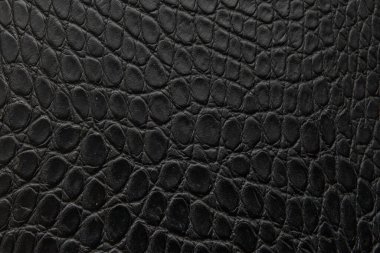 Siyah timsah derisi, arka plan, doku.