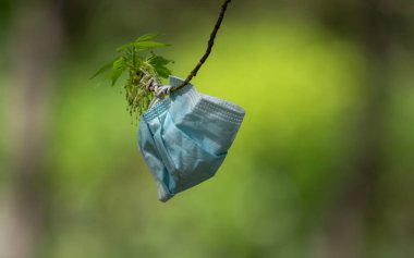 Ağaca asılı tıbbi bir maske.