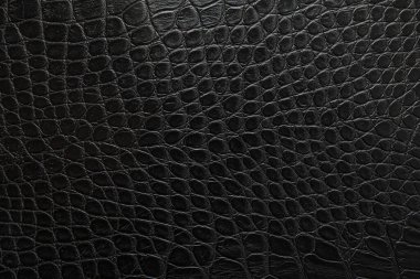 Siyah timsah derisi, arka plan, doku.