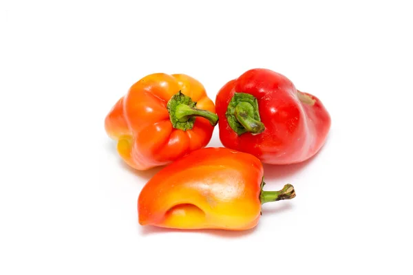 Paprika Auf Weißem Hintergrund — Stockfoto