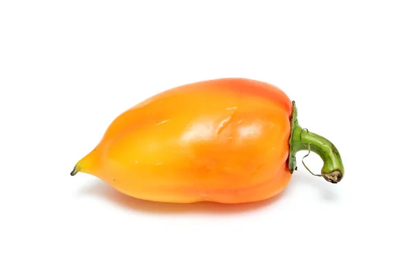 Bell Pepper Vit Bakgrund — Stockfoto