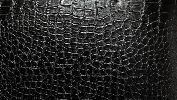 Black Crocodile Skin Background Texture — Stock Photo, Image