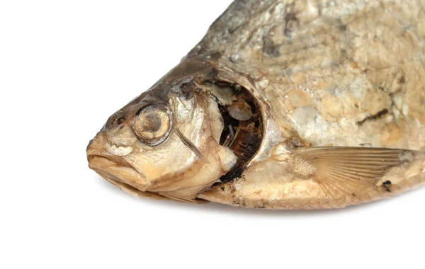 Сушеная Рыба Белом Фоне — стоковое фото