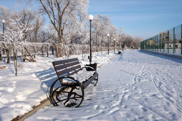 Заснеженная Деревянная Скамейка Парке Зимой — стоковое фото