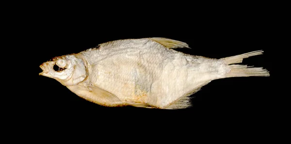 Αλμυρά Ξηρά Ψάρια Σκούρο Φόντο — Φωτογραφία Αρχείου