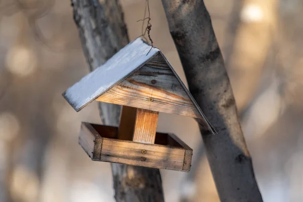 Alimentador Aves Invierno Bosque — Foto de Stock