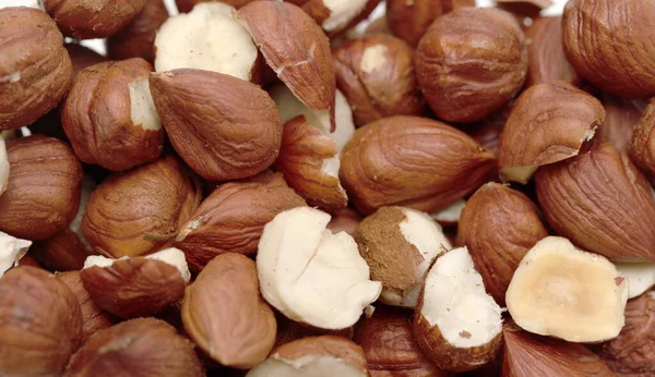 Hazelnut Seeds White Background — Stock Photo, Image