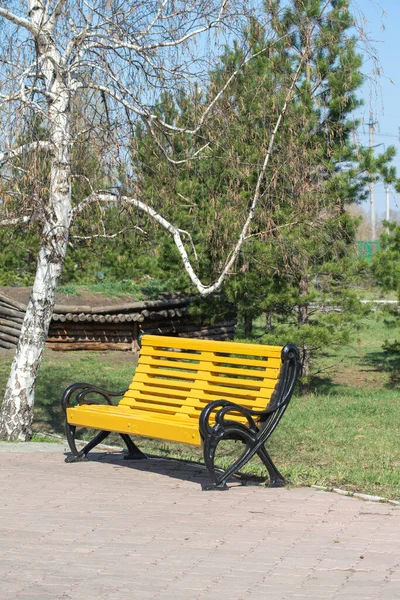 Panche Legno Primavera Nel Parco — Foto Stock