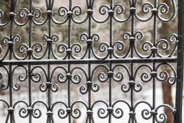 Clôture Métallique Dans Nature Hivernale — Photo