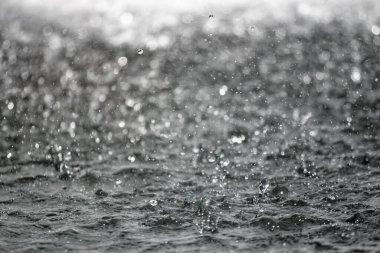 Bulanık arka plan ile arka planda sıçraması su büyük damla