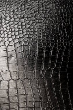 Siyah timsah derisi, arka plan, doku.