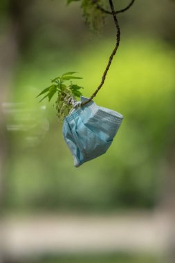 Ağaca asılı tıbbi bir maske.