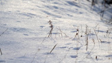 Kuru çimen kış karı arka planı bulanıklaştırdı. Kış manzarası.