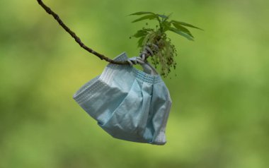 Ağaca asılı tıbbi bir maske.