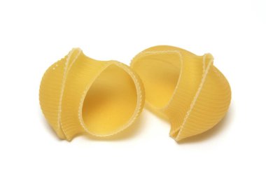 Beyaz arka planda deniz kabuğu makarnası