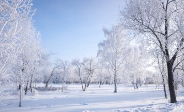Karla kaplı ağaçlarla güzel bir kış manzarası. Mavi gökyüzü ve desenli kar. Kış Masalı.