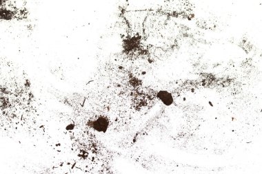 Toprak beyaz arka planda yer alır