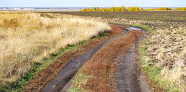 Araba izleri tarladaki kuru çimlerin üzerinde..