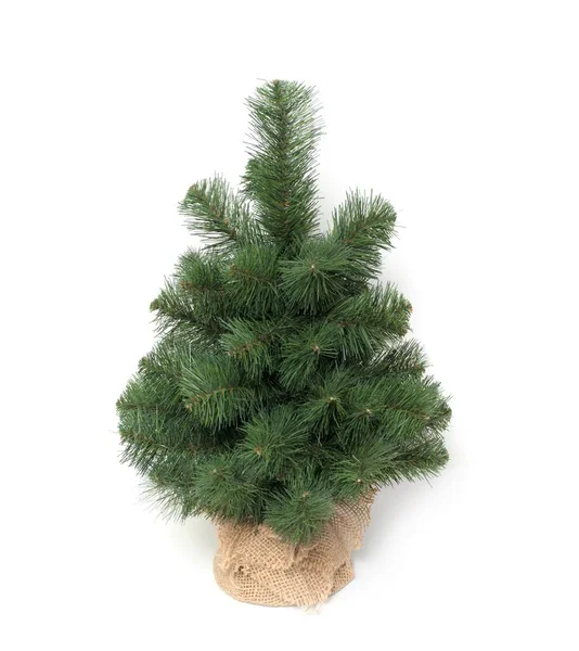 Yapay Noel Ağacı Beyaz Arka Planda Bir Jüt Çantada — Stok fotoğraf