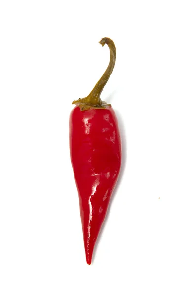 Red Juicy Chili Pepper White Background — Stock Photo, Image