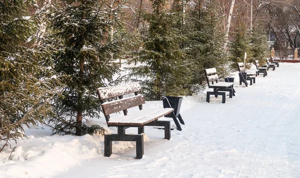 Деревянная Скамейка Парка Зимой Снегу Природный Ландшафт — стоковое фото