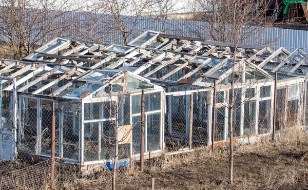 Greenhouse Ground — стоковое фото