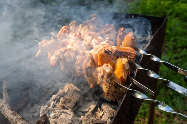 Chicken Skewers Fried Fire — Stock Photo, Image