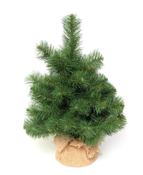 Künstlicher Weihnachtsbaum Einem Jutebeutel Auf Weißem Hintergrund — Stockfoto