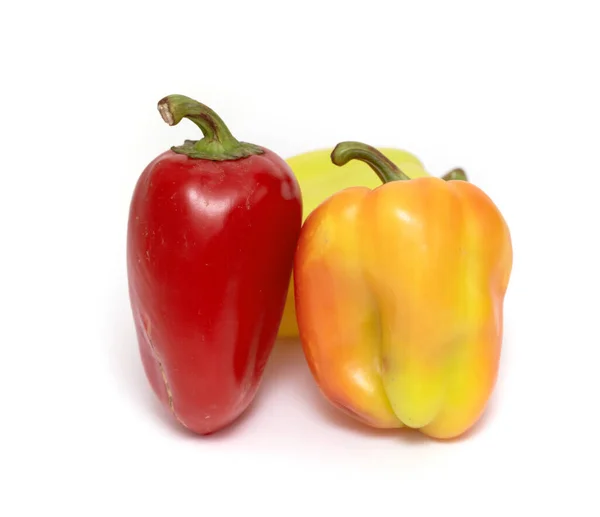 Paprika Auf Weißem Hintergrund — Stockfoto