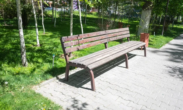 Wooden Bench Park Spring Nature — Stock Photo, Image