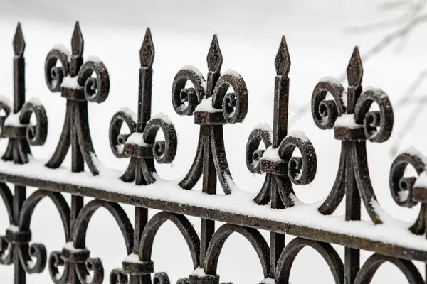 Clôture Métallique Dans Nature Hivernale — Photo