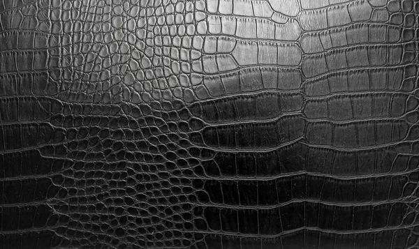 Peau Crocodile Noir Fond Texture — Photo