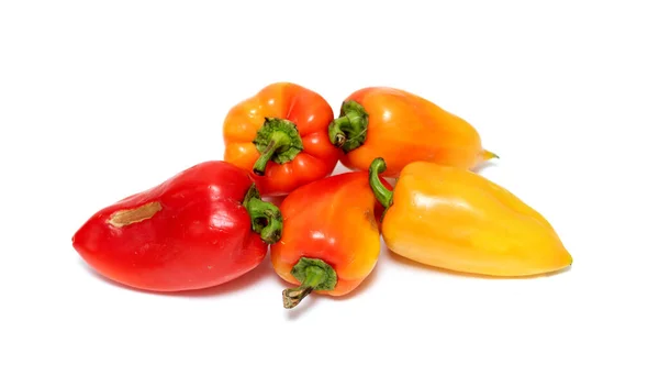 Paprika Auf Weißem Hintergrund — Stockfoto