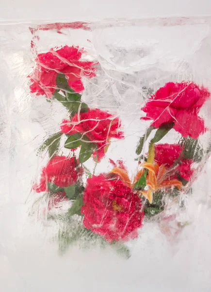 Bright Red Flowers Frozen Ice — Stock Photo, Image