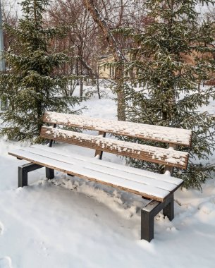 Kışın tahta park bankında, karda, doğa manzarasında..