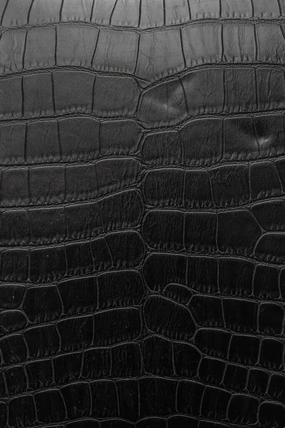 Μαύρο Δέρμα Κροκόδειλου Φόντο Υφή — Φωτογραφία Αρχείου