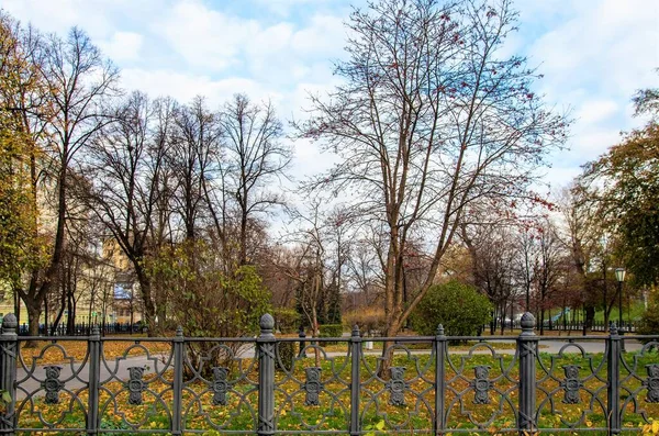 Autumn Landscape City Park Cloudy Day — Stock Photo, Image