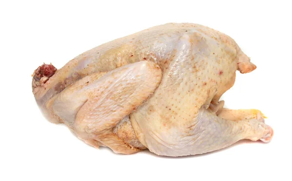 Turcja Tusza Kurczaka Białym Tle — Zdjęcie stockowe