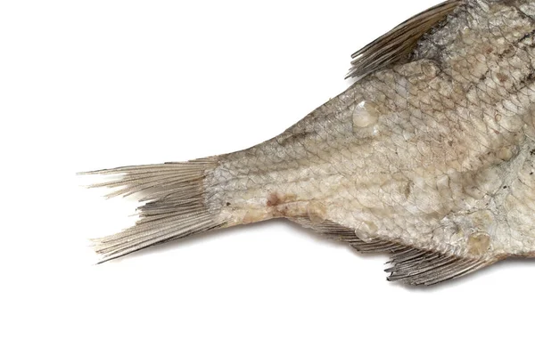 Suszone Ryby Białym Tle — Zdjęcie stockowe