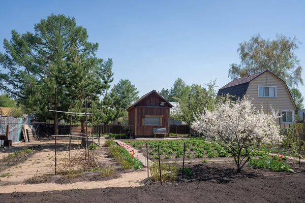 Lantligt Hus Med Mark Våren — Stockfoto