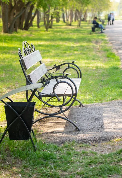 Wooden Benches Spring Park — Stock Photo, Image