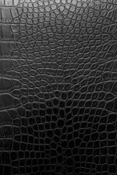 Black Crocodile Skin Background Texture — Stock Photo, Image