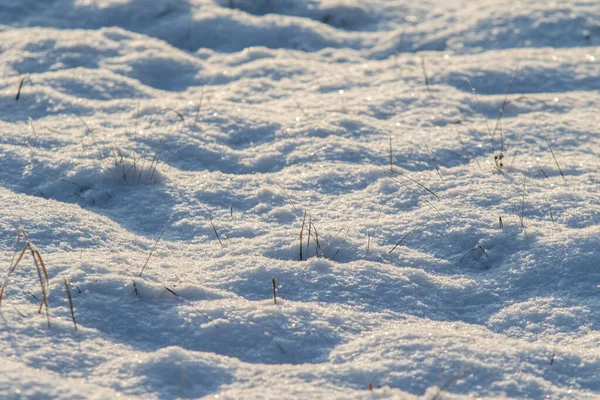 Trockener Grasschnee Winterlandschaft — Stockfoto