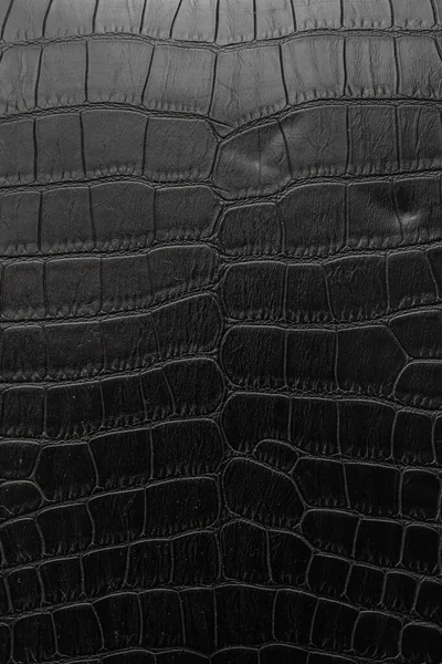 Black Crocodile Skin Background Texture — Stock Photo, Image