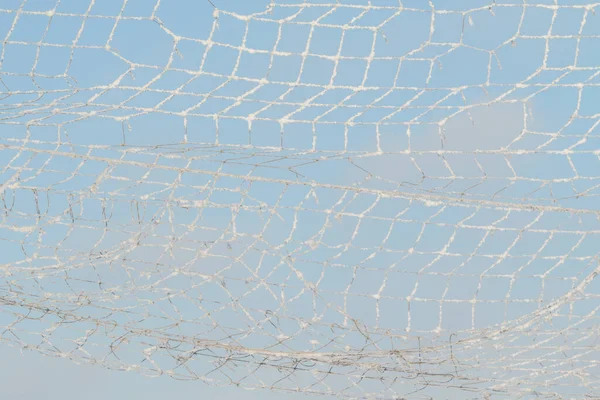 Mesh Cage Snow Blue Sky Royalty Free Stock Photos