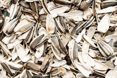 Kabuğu Ayçekirdeği arka plan