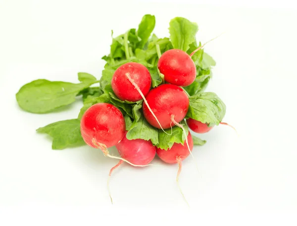 Ensalada de primavera — Foto de Stock