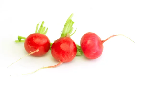 Ensalada de primavera — Foto de Stock