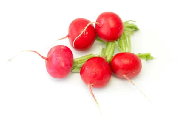 Spring salad — Stock Photo, Image